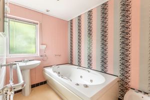 Photo 6- click for photo gallery